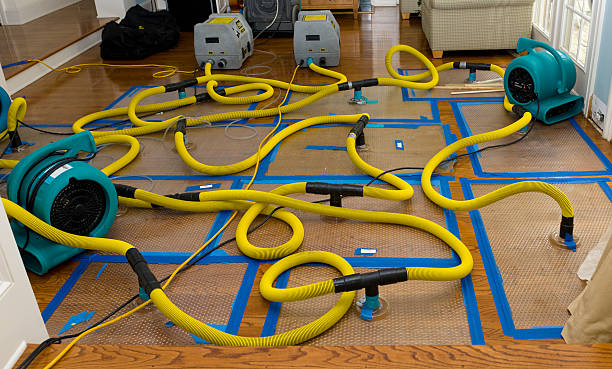Professional Flood Damage Restoration technician working in Wright, MN
